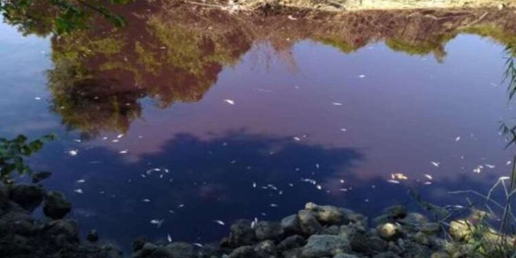 Polonya, Almanya’yı iç işlerine karışmakla suçladı