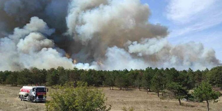 Cem Yılmaz başrollü Do Not Disturb filminin konusu ne, oyuncuları kim? Do Not Disturb filminin ne zaman ve nerede yayımlanacak?