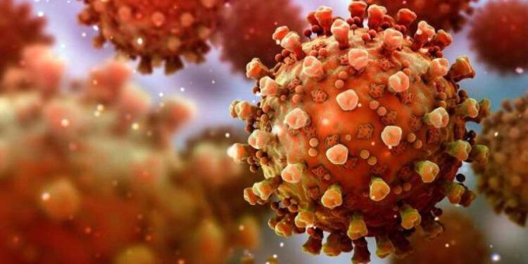 DİSK: Kamu maden işletmelerindeki kazalar tesadüf değil tercih