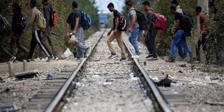 Haluk Levent duyurdu: AHBAP, teröristlerce katledilen Mikail Bozlağan’ın çocuğunun ömür boyu eğitim masrafını üstlendi