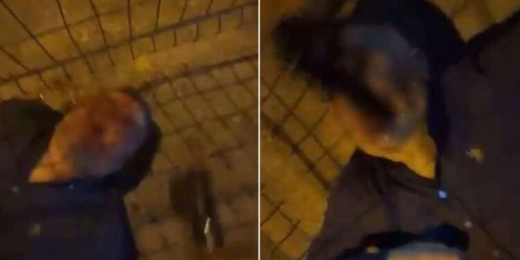 AB en fazla dezenformasyonu X’te buldu