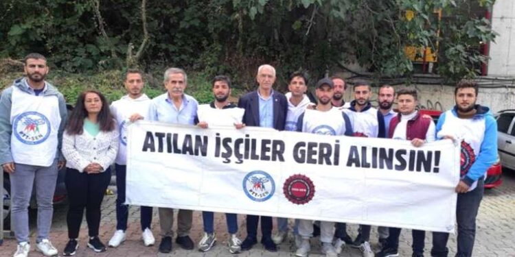 Heeding the Dragon: China’s Stride Towards Hegemony and Ecological Leadership