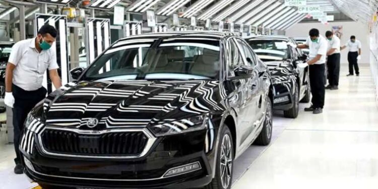 Alıç nedir? Alıç nasıl tüketilir?