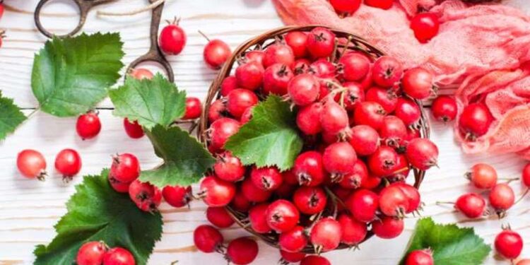 CHP’den Trendyol işçilerine destek: ‘Bu ayıba müdahale etmeye davet ediyorum’