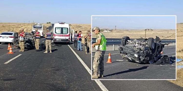 Vivo yeni fiyat performans telefonunu tanıttı