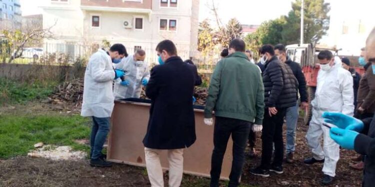 D1 sınıfı ehliyet nedir? D1 sınıfı ehliyet nasıl alınır? D1 sınıfı ehliyet hangi araçları kullanır? D1 sınıfı ehliyet şartları neler?