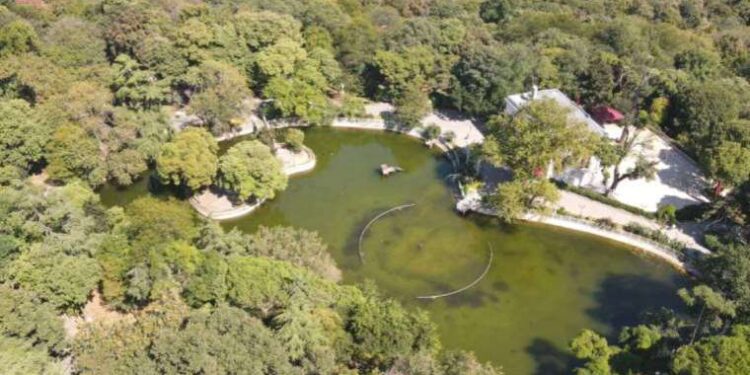 ABD Dışişleri Bakanı Blinken efsane müzisyenin şarkısını söyledi