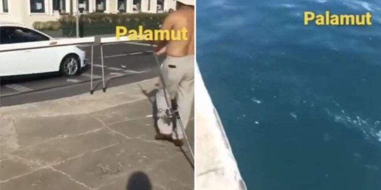 Traktörden düşen kadın römorkun altında kaldı