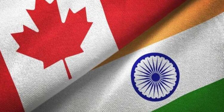 Bir minibüs ne kadar lüks olabilir? Cevabı Lexus’tan…