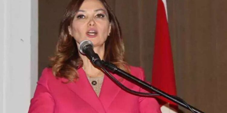 Bu hafta hangi filmler vizyona girecek? 29 Eylül 2023 vizyona girecek filmler…