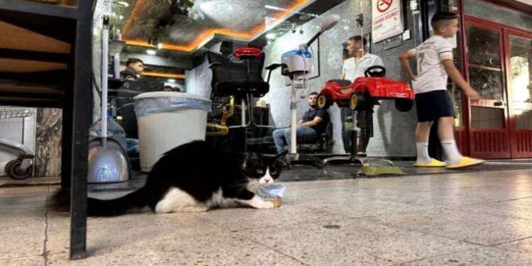 En yakışıklı erkekler bu burçtan çıkıyor! Karizmalarıyla tüm kadınları etkiliyorlar