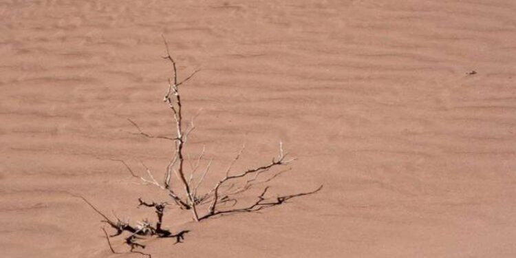 İrlanda’dan Rusya’ya tepki: Yaptıklarından sorumlu tutulmalı