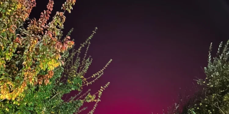 İngiltere'de Kuzey Işıkları Yerine Domates Fabrikası!