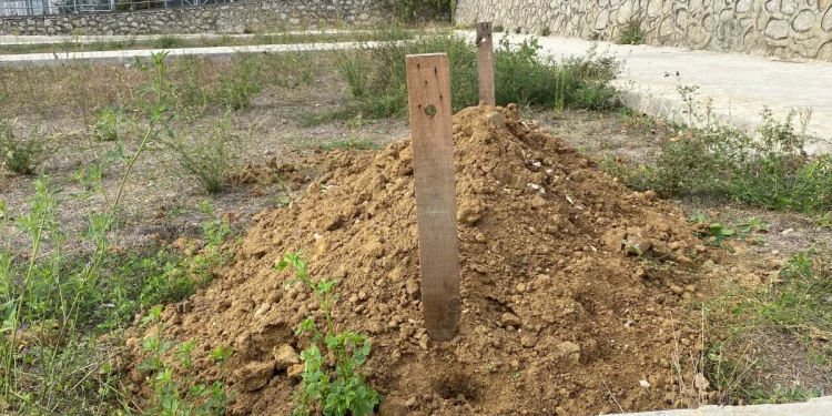 Kocaeli'de Peyzaj Talebine Trajikomik Yanıt!