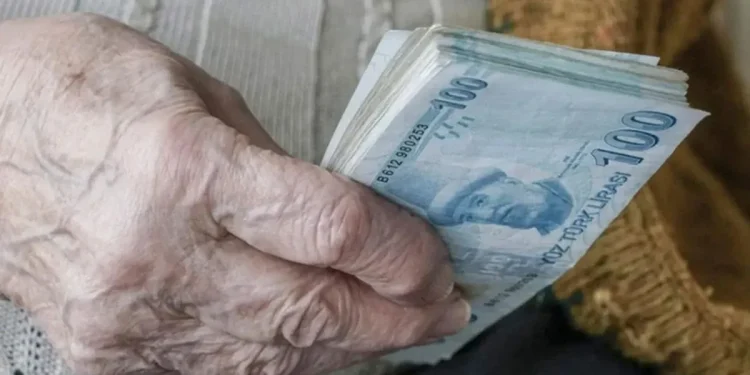 "Emeklilerin Maaş Zammı e-Devlet'te Yayında"