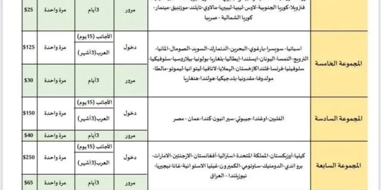 Suriye'de 2025 yılı için yeni vize ücretleri açıklandı
