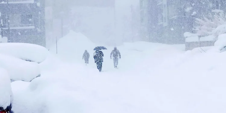 Bitlis'te kar nedeniyle evler ve araçlar kara gömüldü