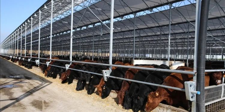 Kırsalda Bereket Projesi için başvuru tarihi yaklaşıyor