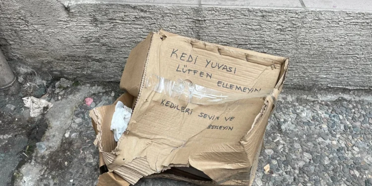 "Eskişehir’de Kedi Yuvasına Zarar Verildi"