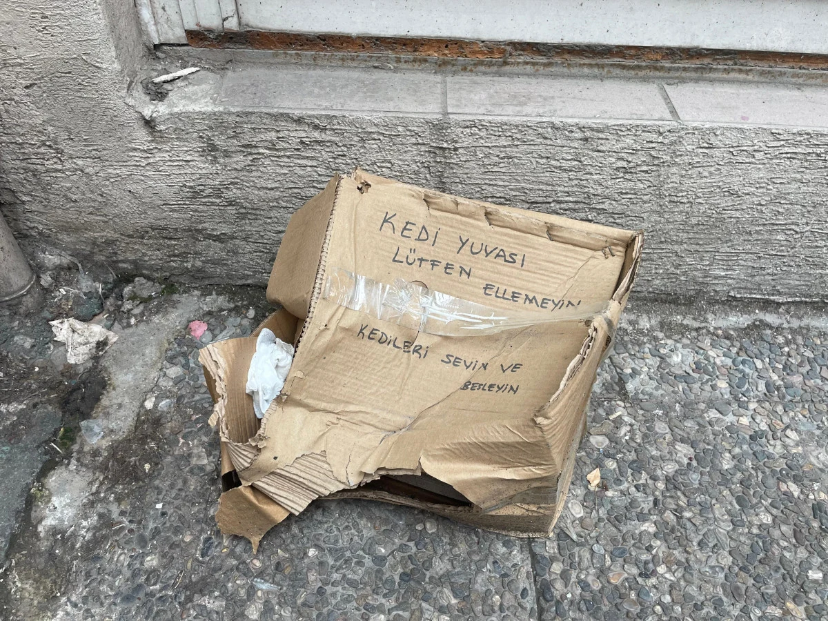 "Eskişehir’de Kedi Yuvasına Zarar Verildi"