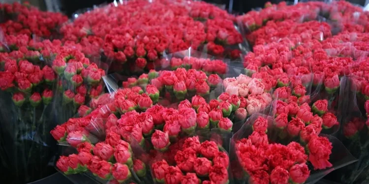 Dünya, Kadınlar Günü’nü 75 milyon çiçekle kutlayacak.