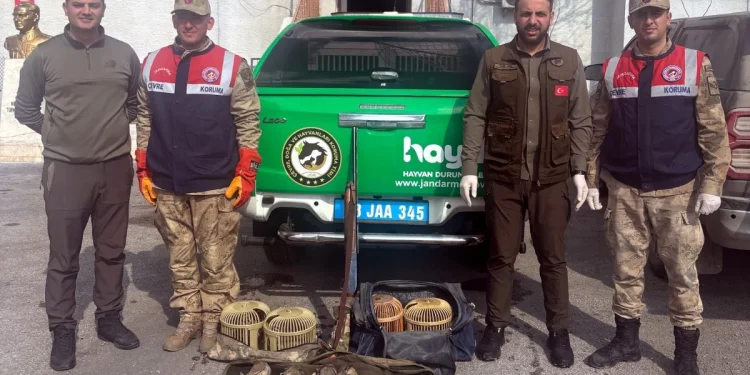 Bitlis'te kaçak keklik avcılarına 114 bin TL ceza kesildi
