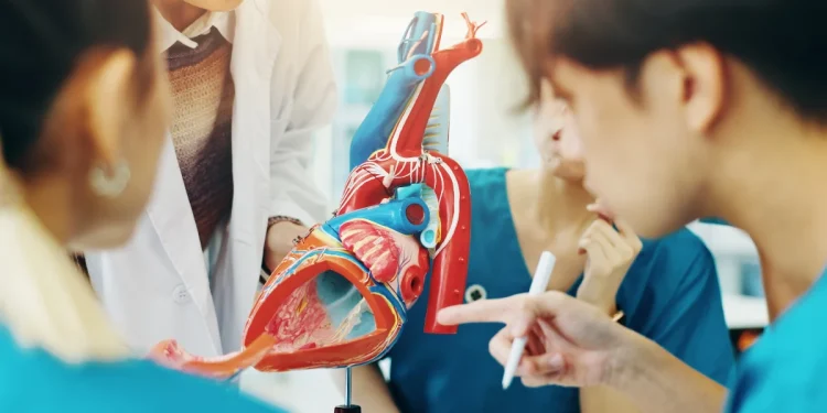 Hayati Tehlike Kalpten Geldi: Sırrı Süreyya Önder'in Geçirdiği Aort Yırtılmasıyla Gözler Bu Sessiz Hastalığa Çevrildi