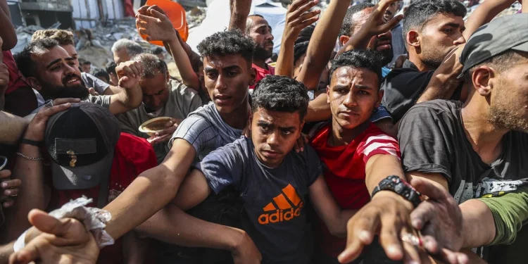 Gazze'de Filistinlilere yardımlar kapsamında yemek verildi