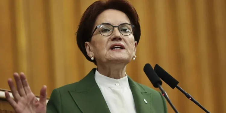 Meral Akşener'den Türkeş'in vefatının 28. yılı mesajı