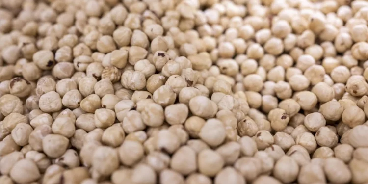 Ticaret borsalarında 7 ayda 514 bin ton fındık alınıp satıldı