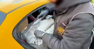 İstanbul'da dev skunk operasyonu: 880 kg yakalandı