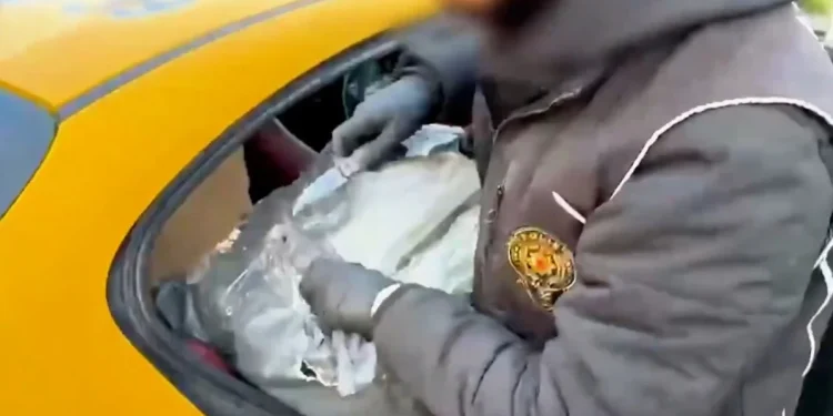 İstanbul'da dev skunk operasyonu: 880 kg yakalandı