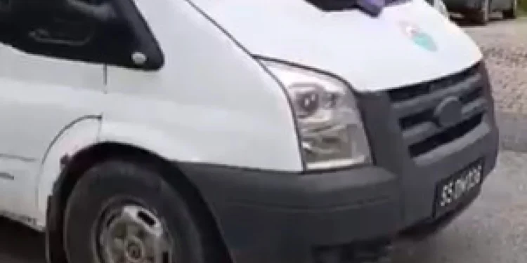 Samsun’da Sokak Köpeği Toplama Tepki Çekti