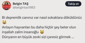 Başıboş Köpek Destekçilerinden Şok Deprem Yorumu