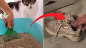 Ayakkabınızdaki Kokuya Veda Etmenin Sırrı Bu Tutamda!