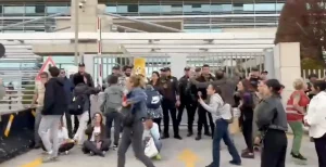 Sokak Hayvanları Destekçileri AYM'ye Girmeye Çalıştı