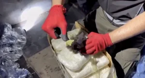 2 İlde Operasyon: 311 Kilo Uyuşturucu Yakalandı