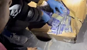 2 İlde Operasyon: 311 Kilo Uyuşturucu Yakalandı