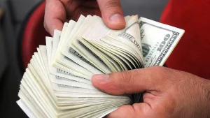 ING'den 2025 Dolar Tahmini: Yıl Sonu Seviyesi Açıklandı