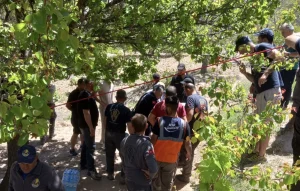 Nevşehir’de balon kayalıklara acil iniş yaptı