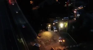 Diyarbakır'da 3.4 milyon kenevir: 7 gözaltı kararı