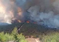 Foça’da Çıkan Orman Yangınına Müdahale Sürüyor