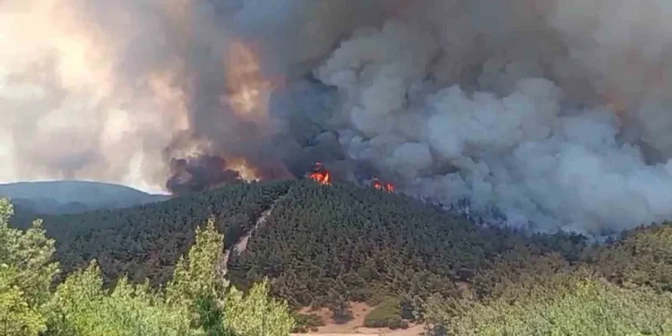 Foça’da Çıkan Orman Yangınına Müdahale Sürüyor