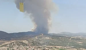 Foça’da Çıkan Orman Yangınına Müdahale Sürüyor