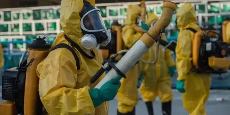 16 ülkede korkunç virüs yayılıyor: 240 binden fazla vakada 90 kişi öldü