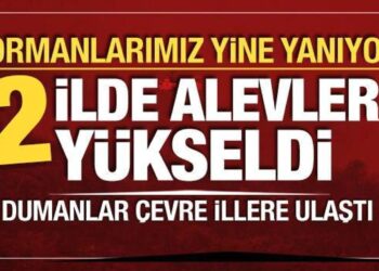 2 ilde orman yangını! Rüzgarın etkisiyle alevler büyüyor