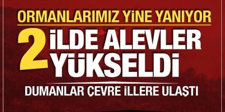 2 ilde orman yangını! Rüzgarın etkisiyle alevler büyüyor