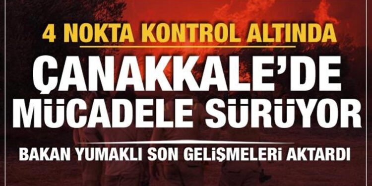 4 noktada alevler kontrol altında: Çanakkale’de mücadele sürüyor!