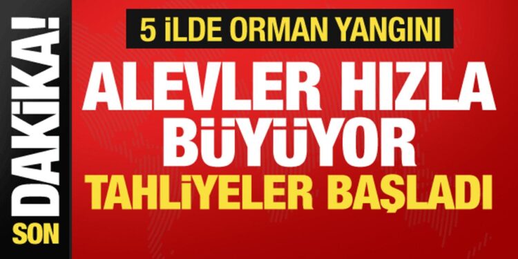 5 ilde orman yangını! Alevler hızla büyüyor, tahliyeler başladı