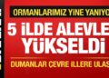 5 ilde orman yangını! Rüzgarın etkisiyle alevler büyüyor